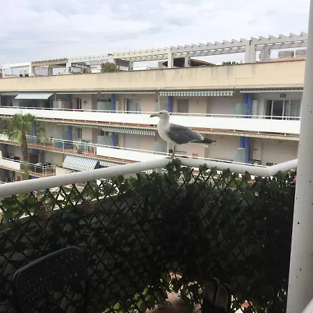 Superbe Avec Solarium Et Piscine Communautaire Apartamento