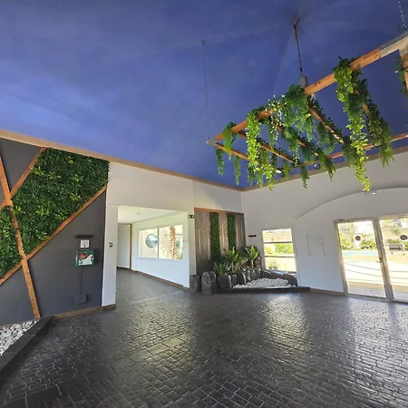Appartement Superbe Avec Solarium Et Piscine Communautaire